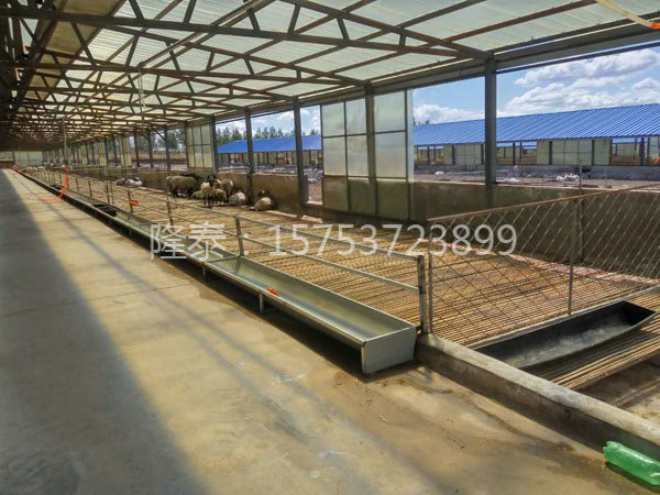 羊舍的基本建設(shè)